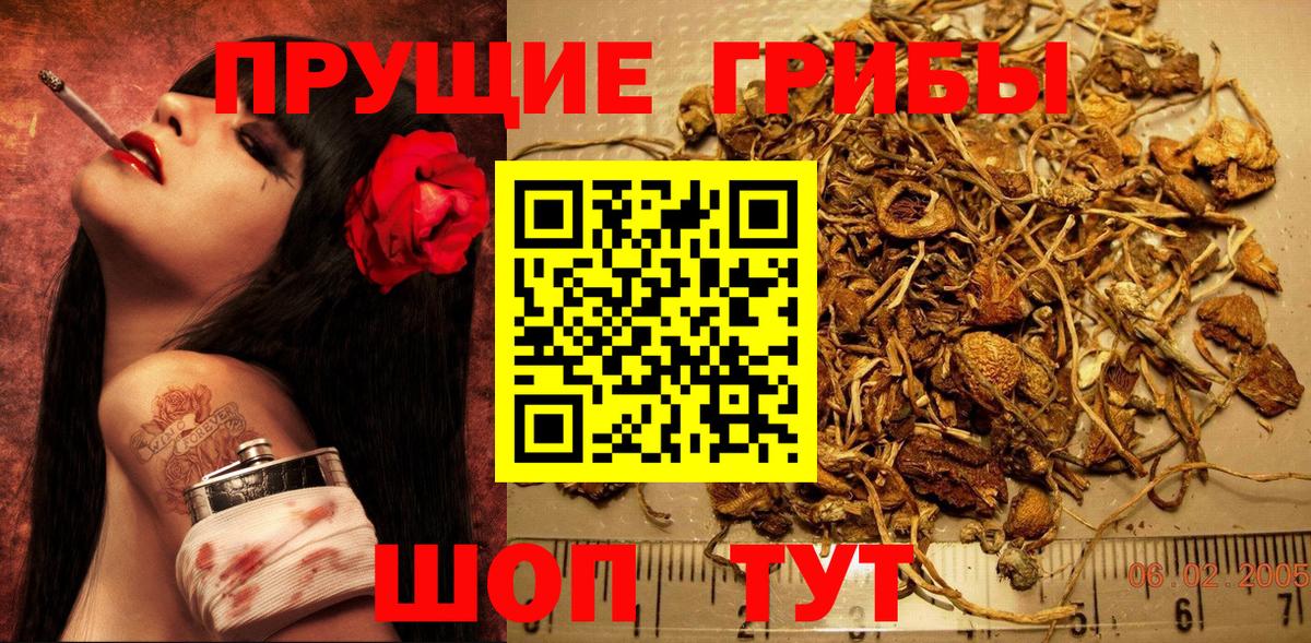 Псилоцибиновые грибы прущие грибы Азов